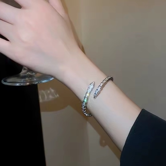 Anthropologie Serpentine Silver Adjustable Bracelet - Picture 8 of 9